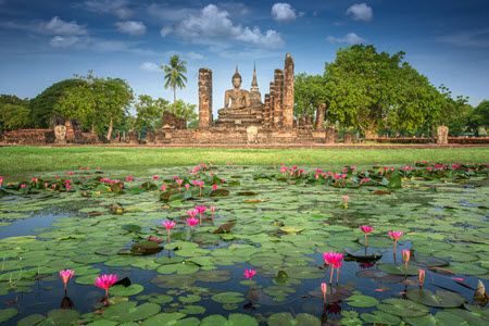 mare et temple de sukhothai Thaïlande